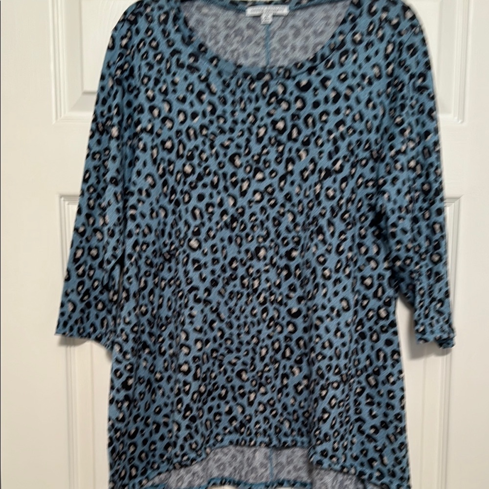 Green Envelope Blue and Gray Animal Print 3/4 Sleeve Boxy Top